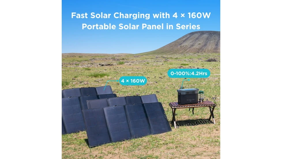 EcoFlow DELTA Max 2000 Bundle - Image 19