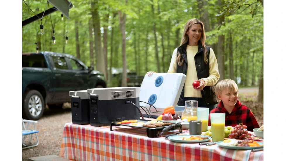 EcoFlow DELTA Max 2000 Bundle - Image 17