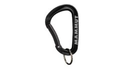 Mammut Mini Carabiner Workhorse Keylock L