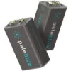 Pale Blue Earth Pale Blue Smart Lithium Ion USB Rechargeable 9V Batteries